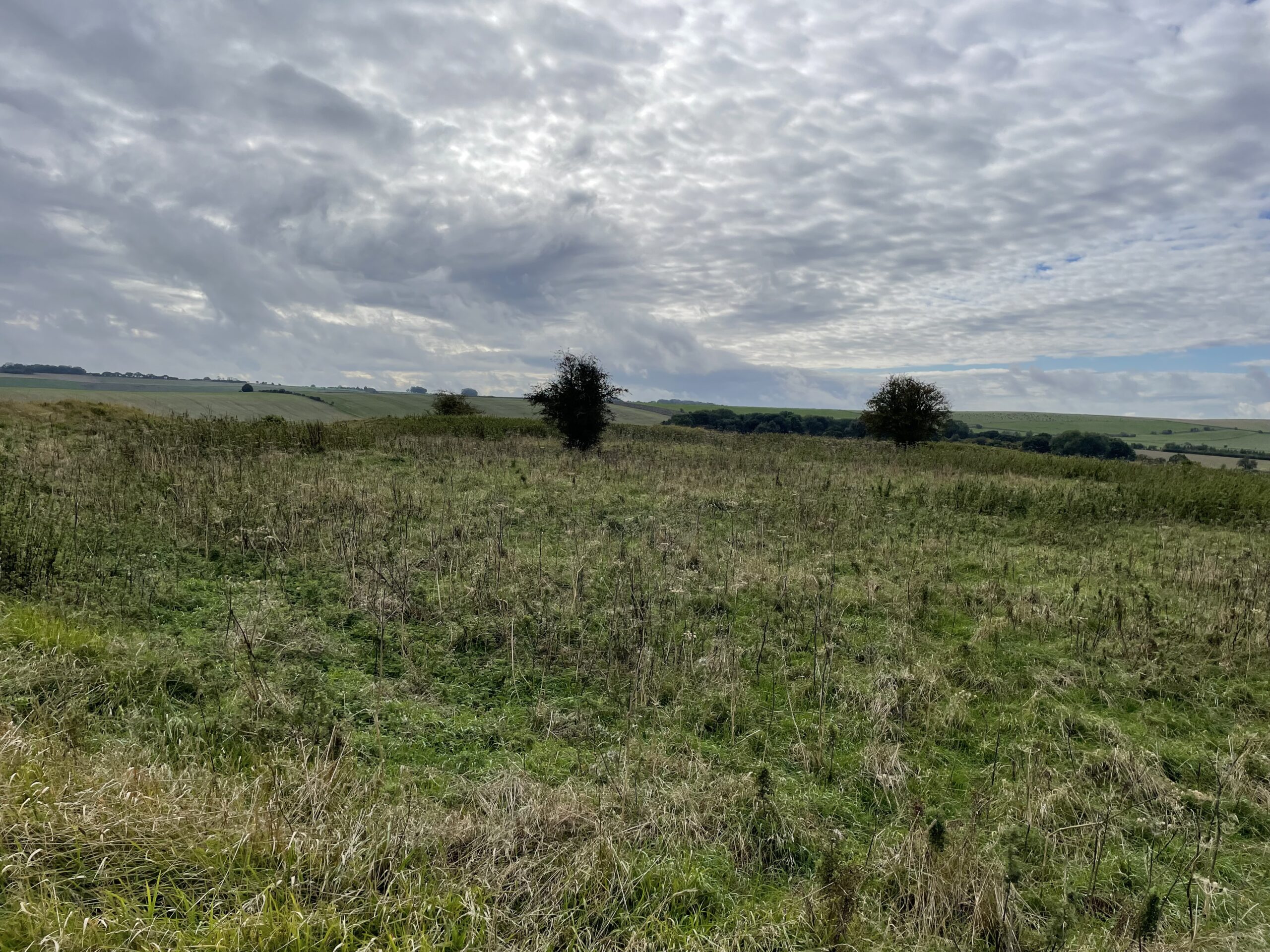 Standing in 'Alfred's' Castle