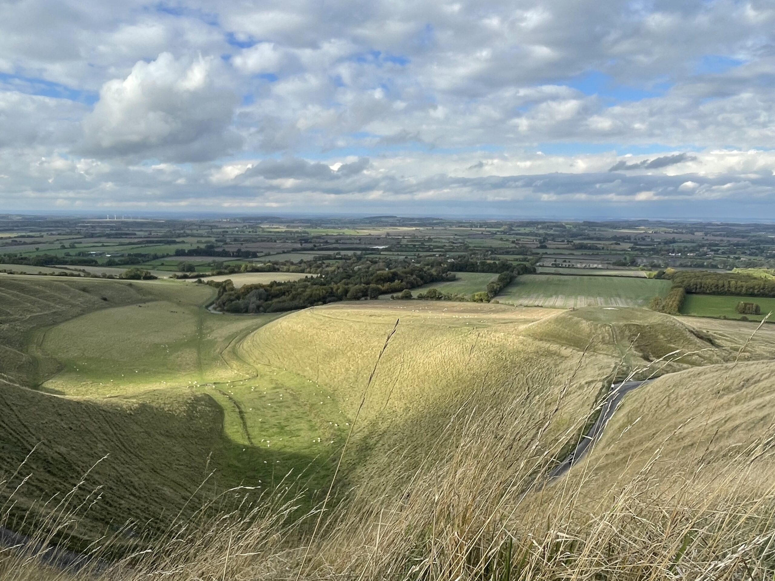 Dragon Hill: the flattened mound on the right (spot the white patch!)