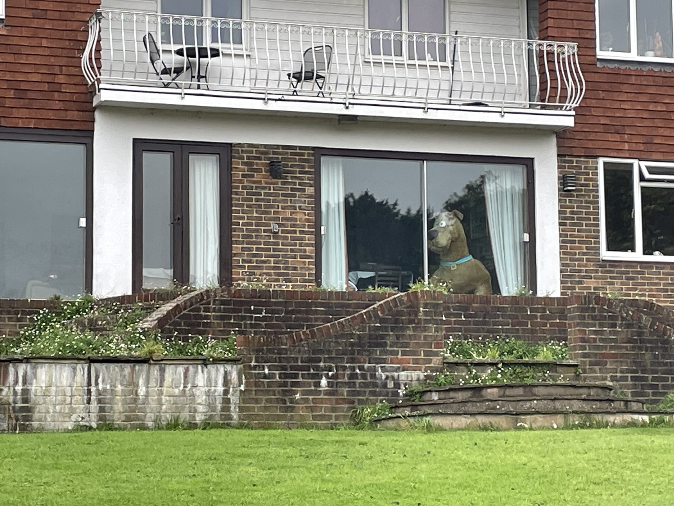 "What should we put in our window darling?"
"How about a massive Scooby Doo?"
"Done"