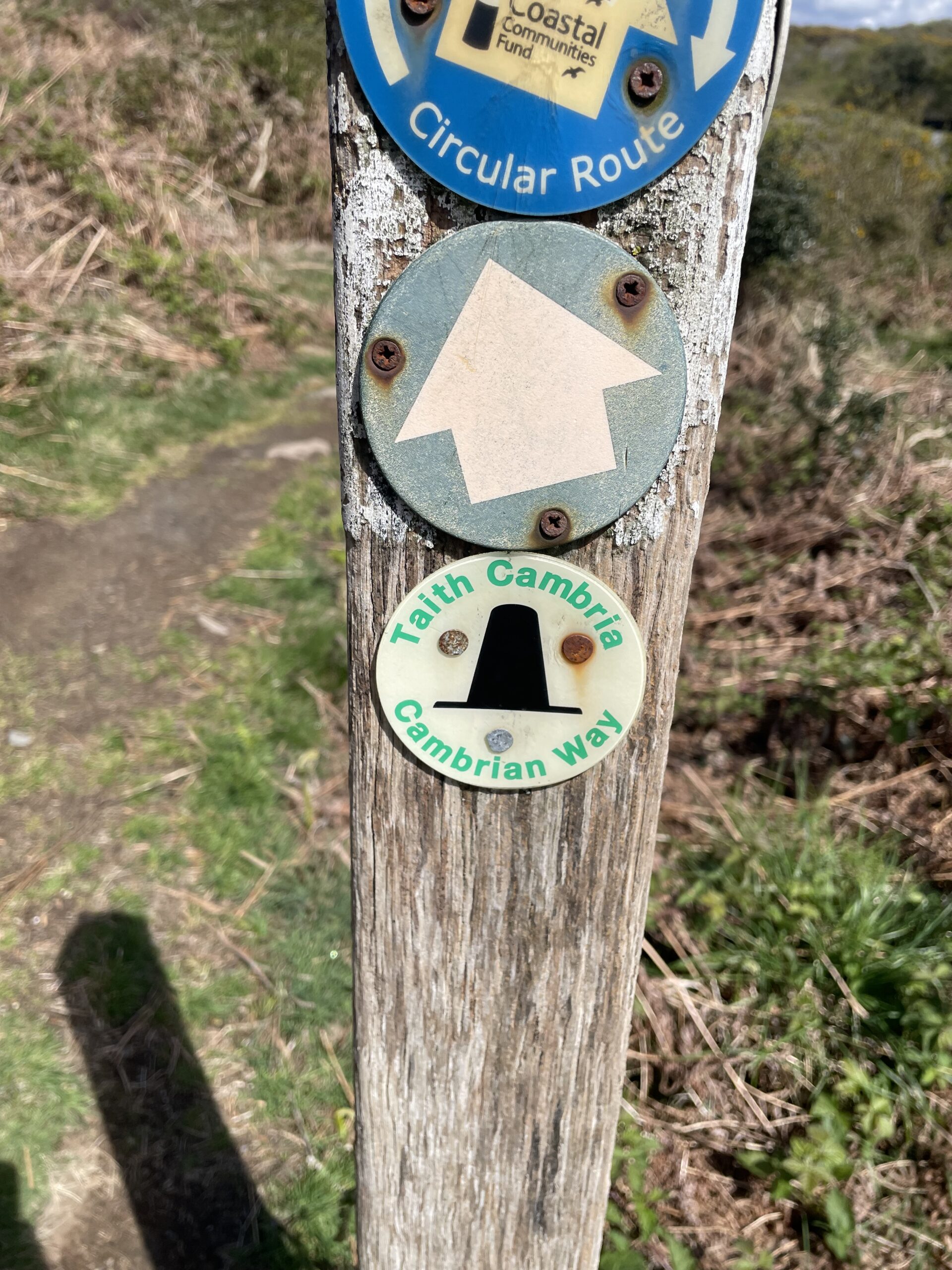 Cambrian Waymarking